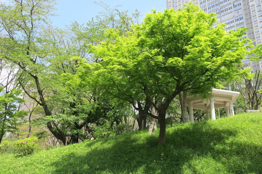 クリックすると拡大します