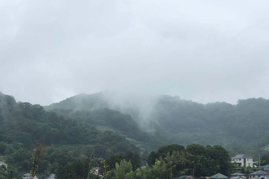 クリックすると拡大します