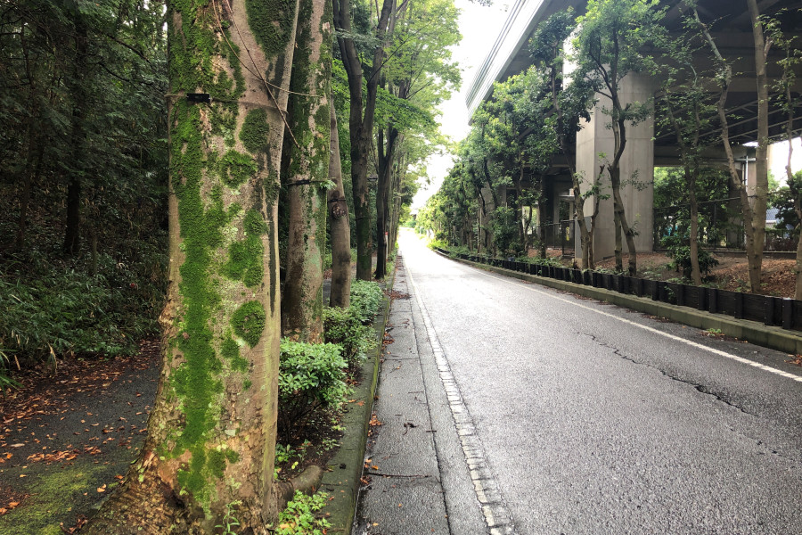 クリックすると拡大します