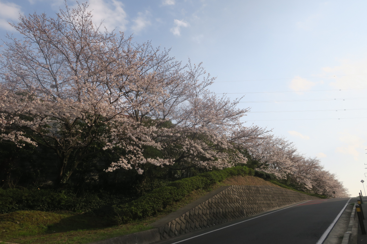 クリックすると拡大します