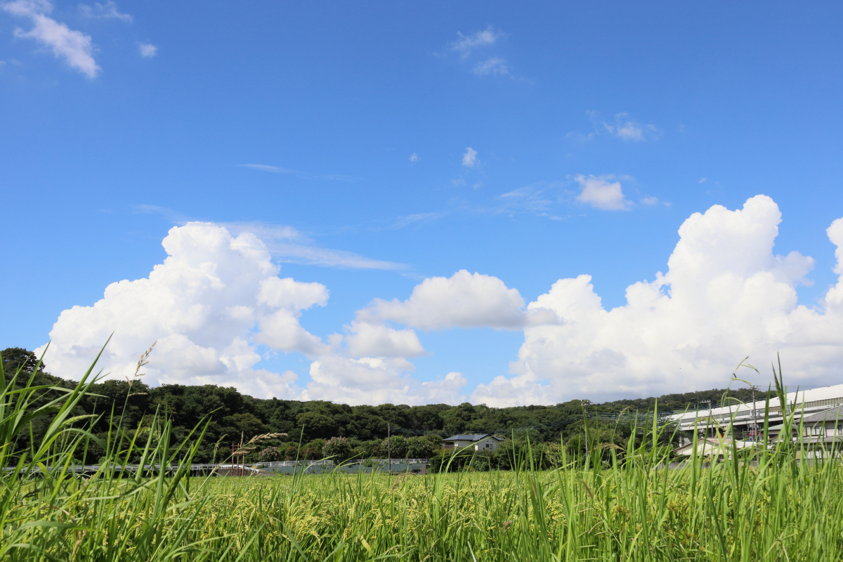 クリックすると拡大します