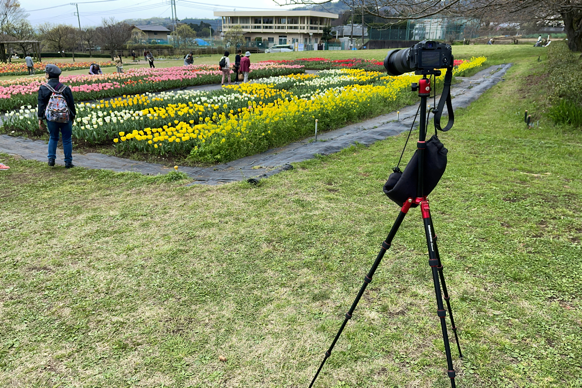 クリックすると拡大します