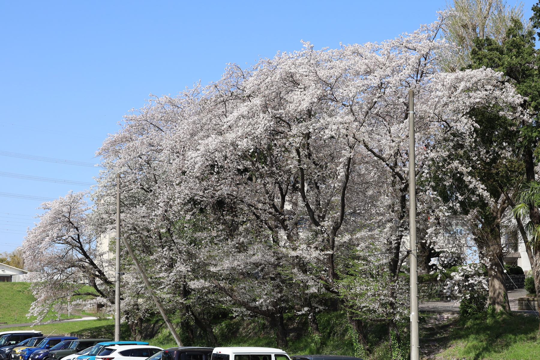 クリックすると拡大します