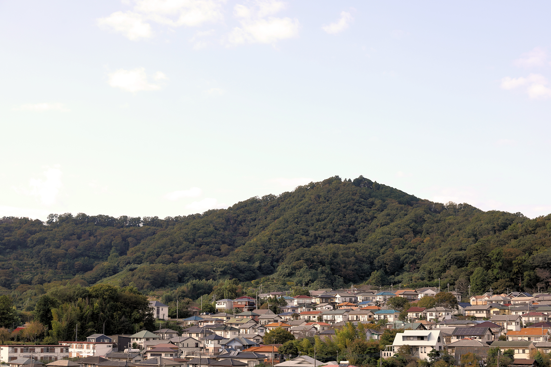 クリックすると拡大します