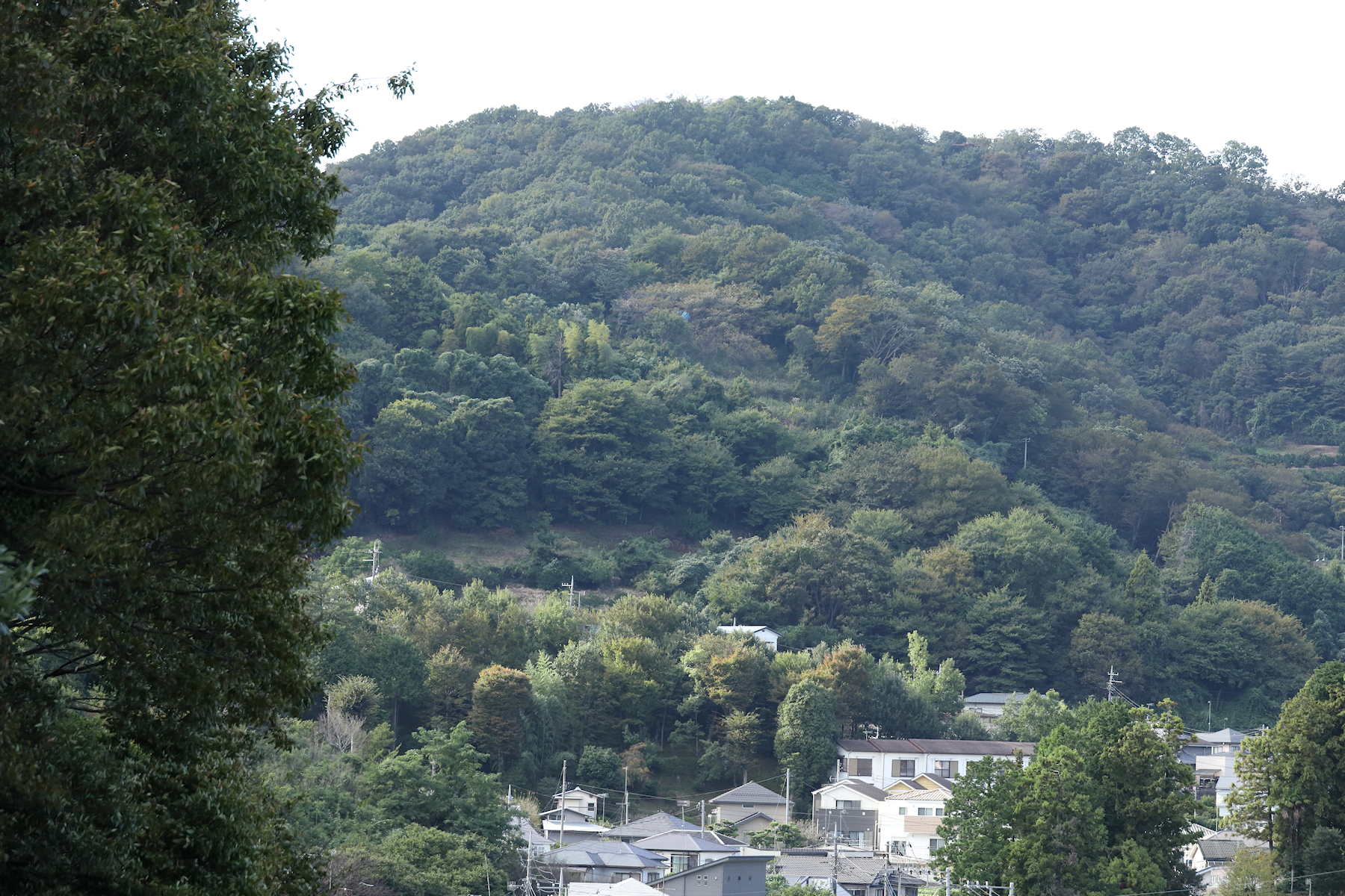 クリックすると拡大します