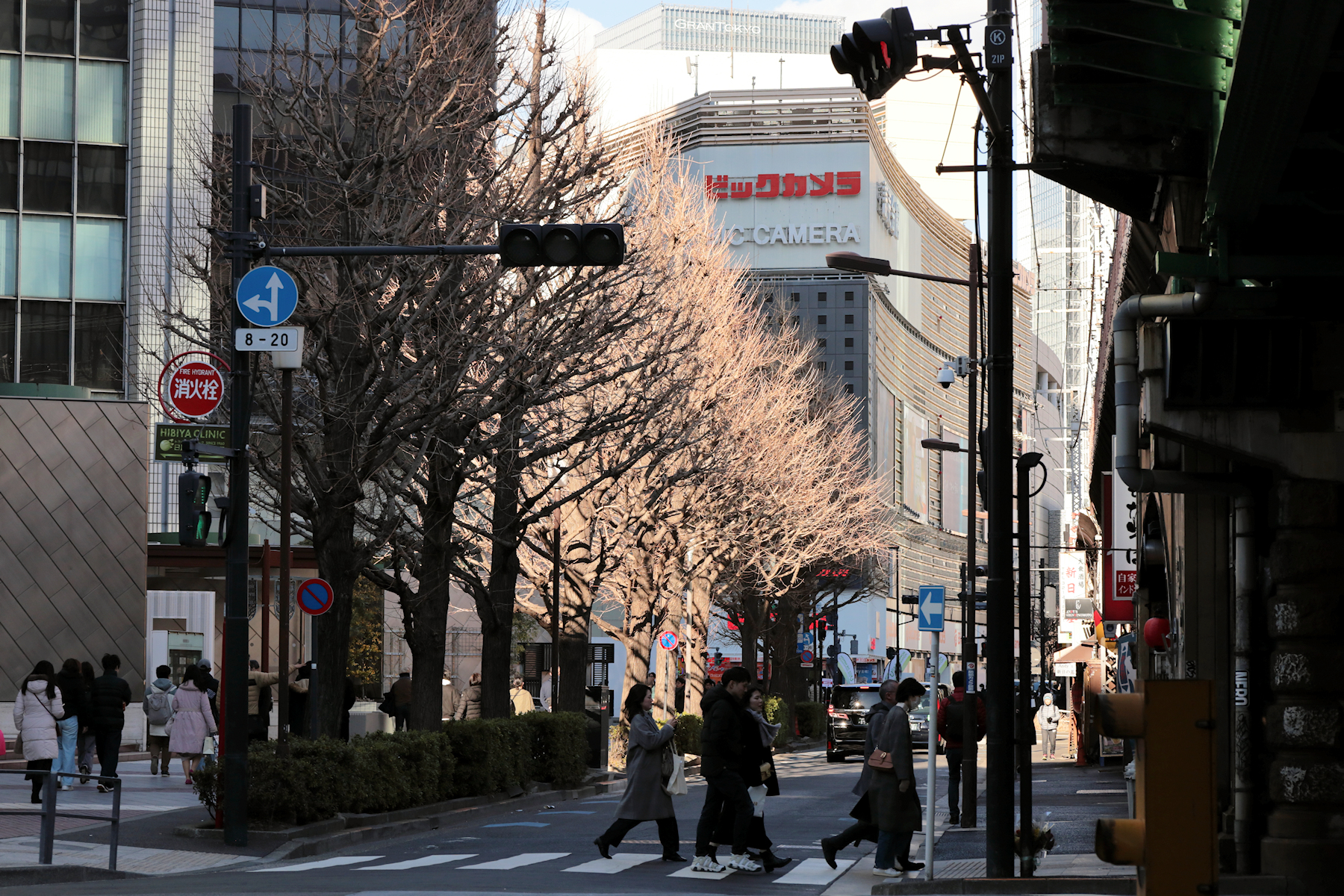 クリックすると拡大します