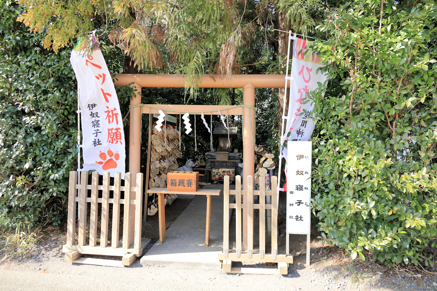 クリックすると拡大します