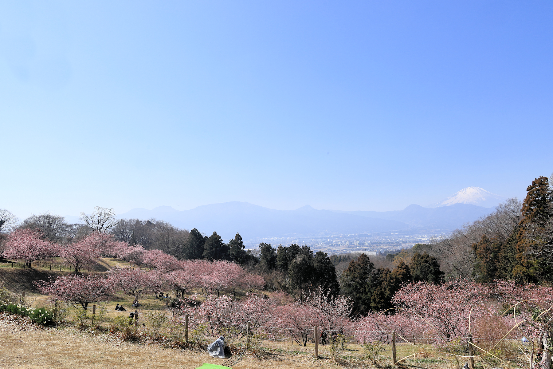 クリックすると拡大します