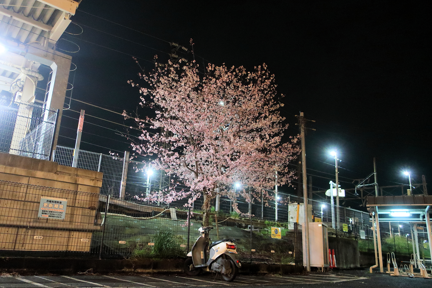 クリックすると拡大します