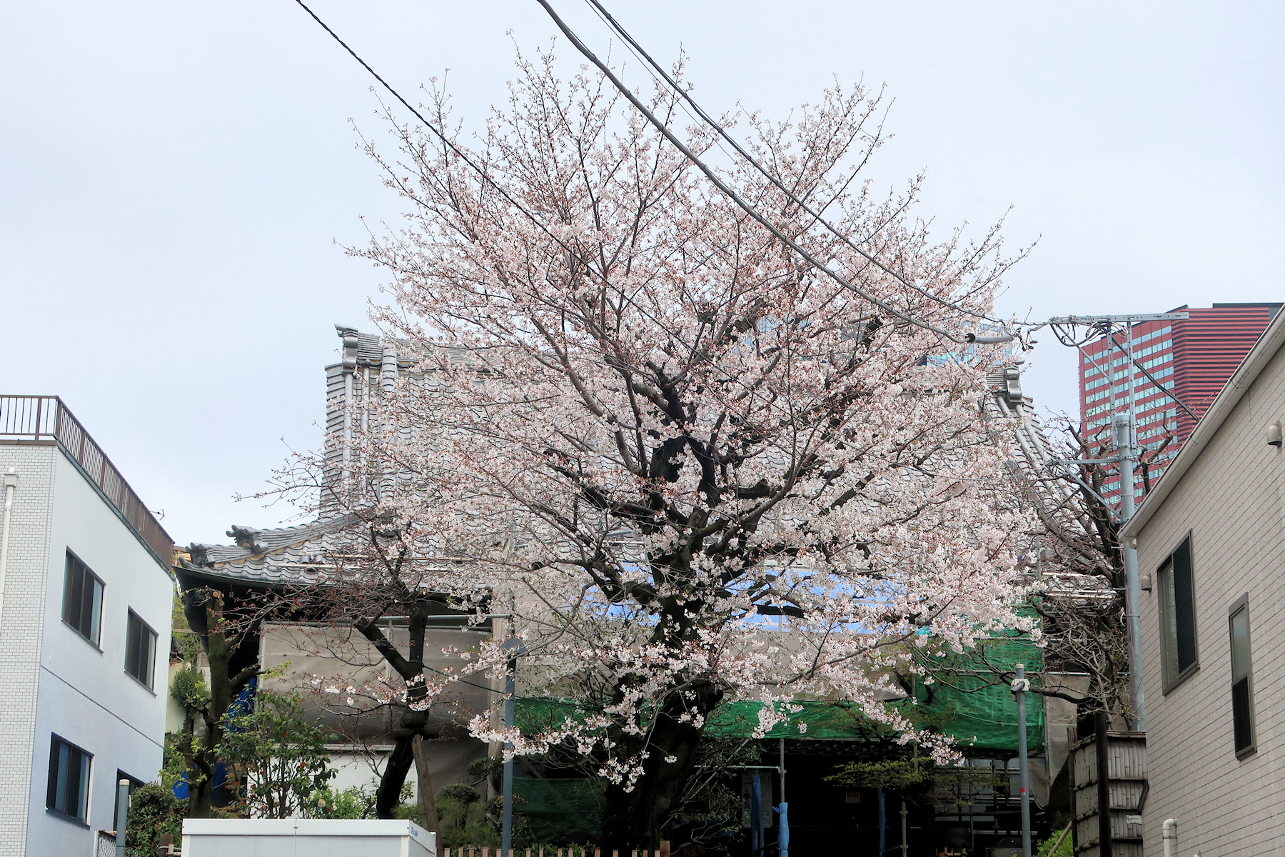 クリックすると拡大します