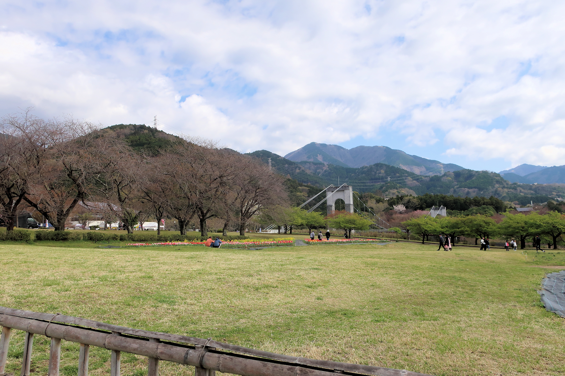 クリックすると拡大します