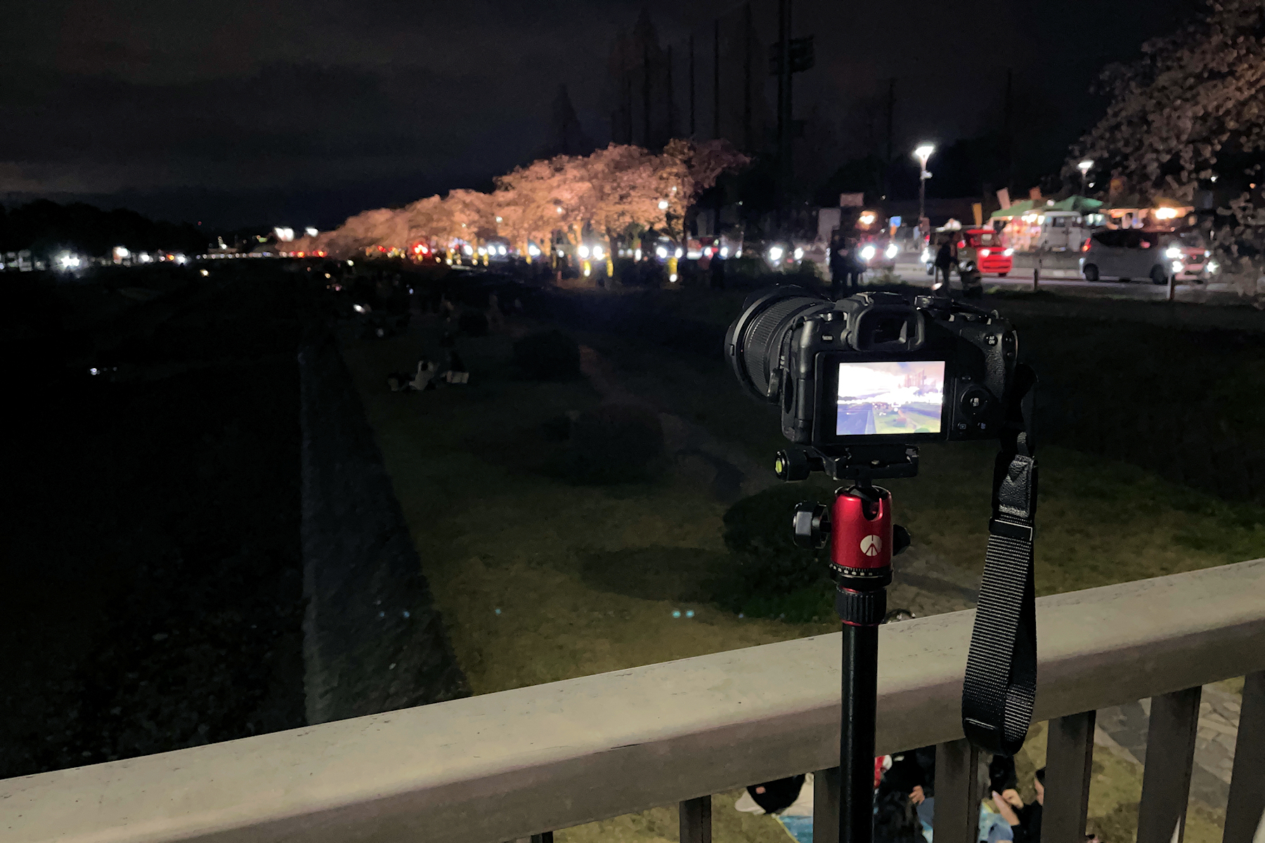 クリックすると拡大します