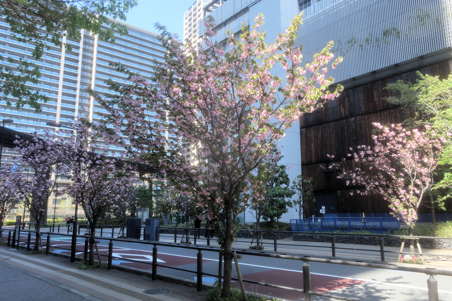 クリックすると拡大します