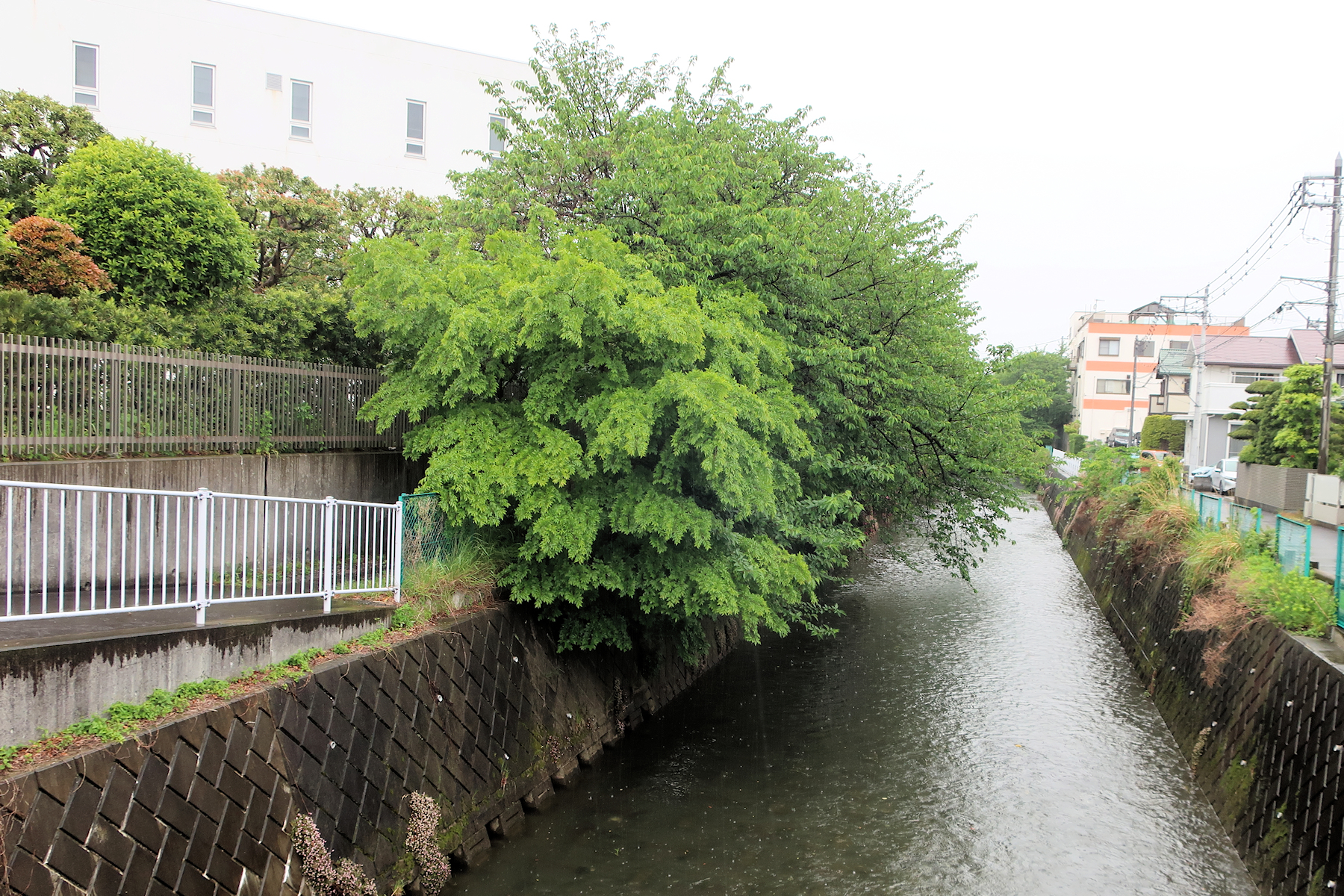 クリックすると拡大します