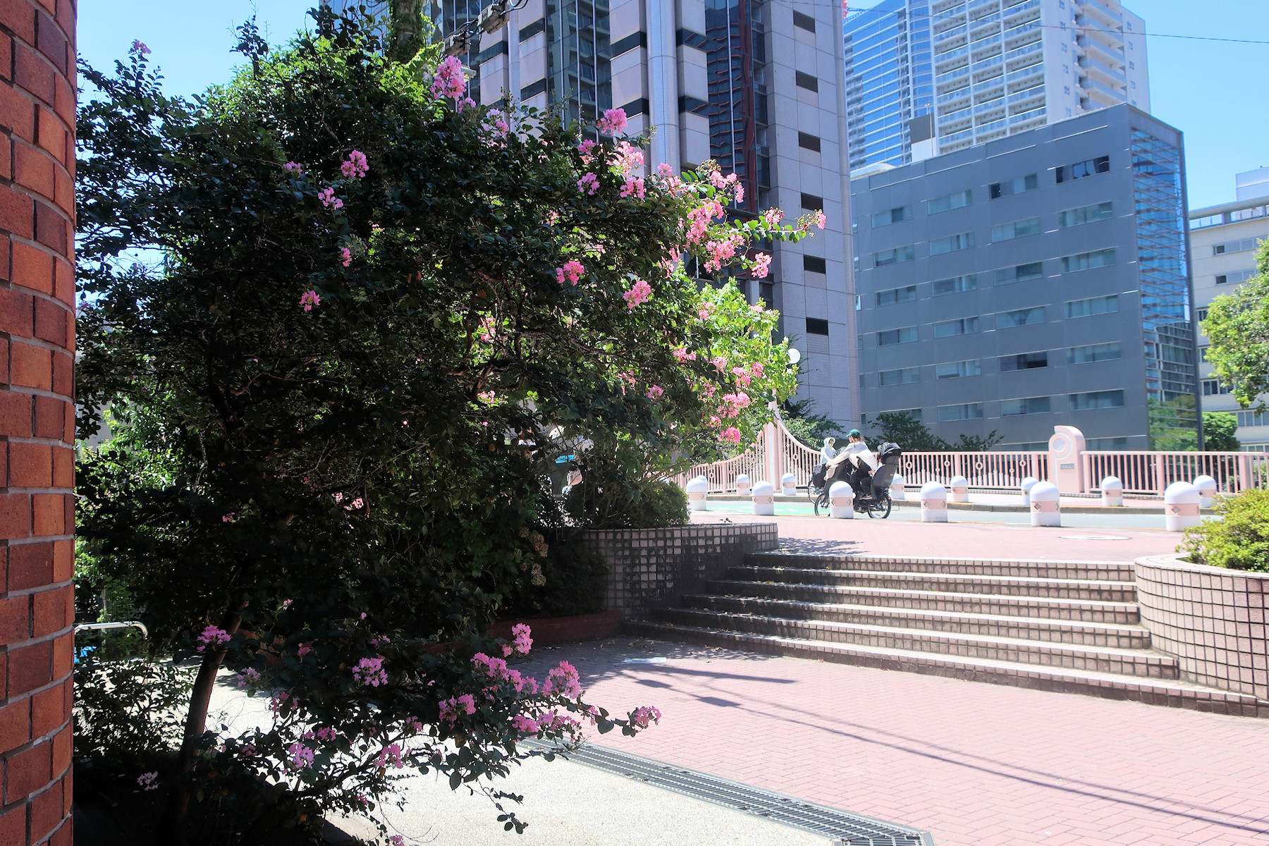 クリックすると拡大します