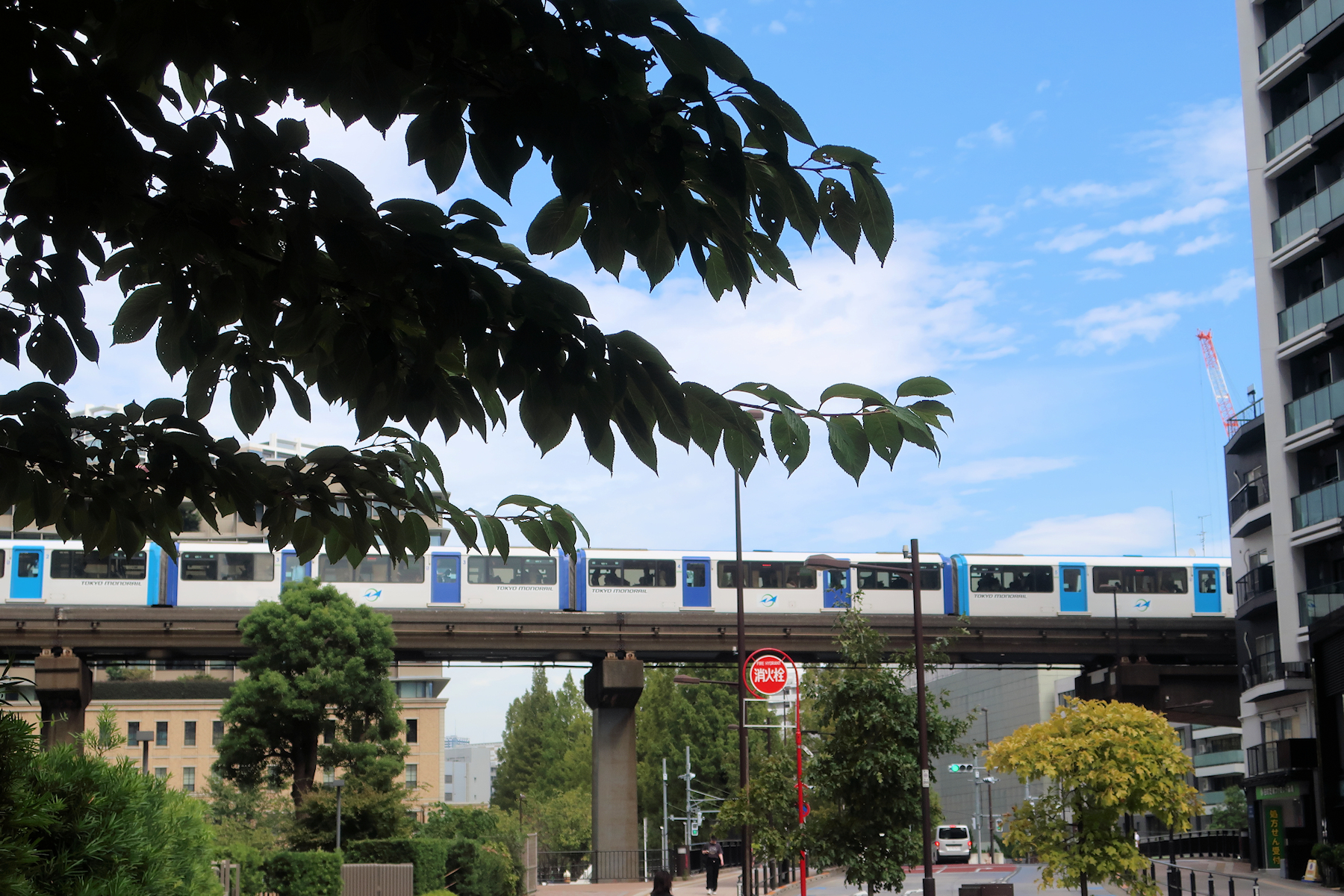 クリックすると拡大します