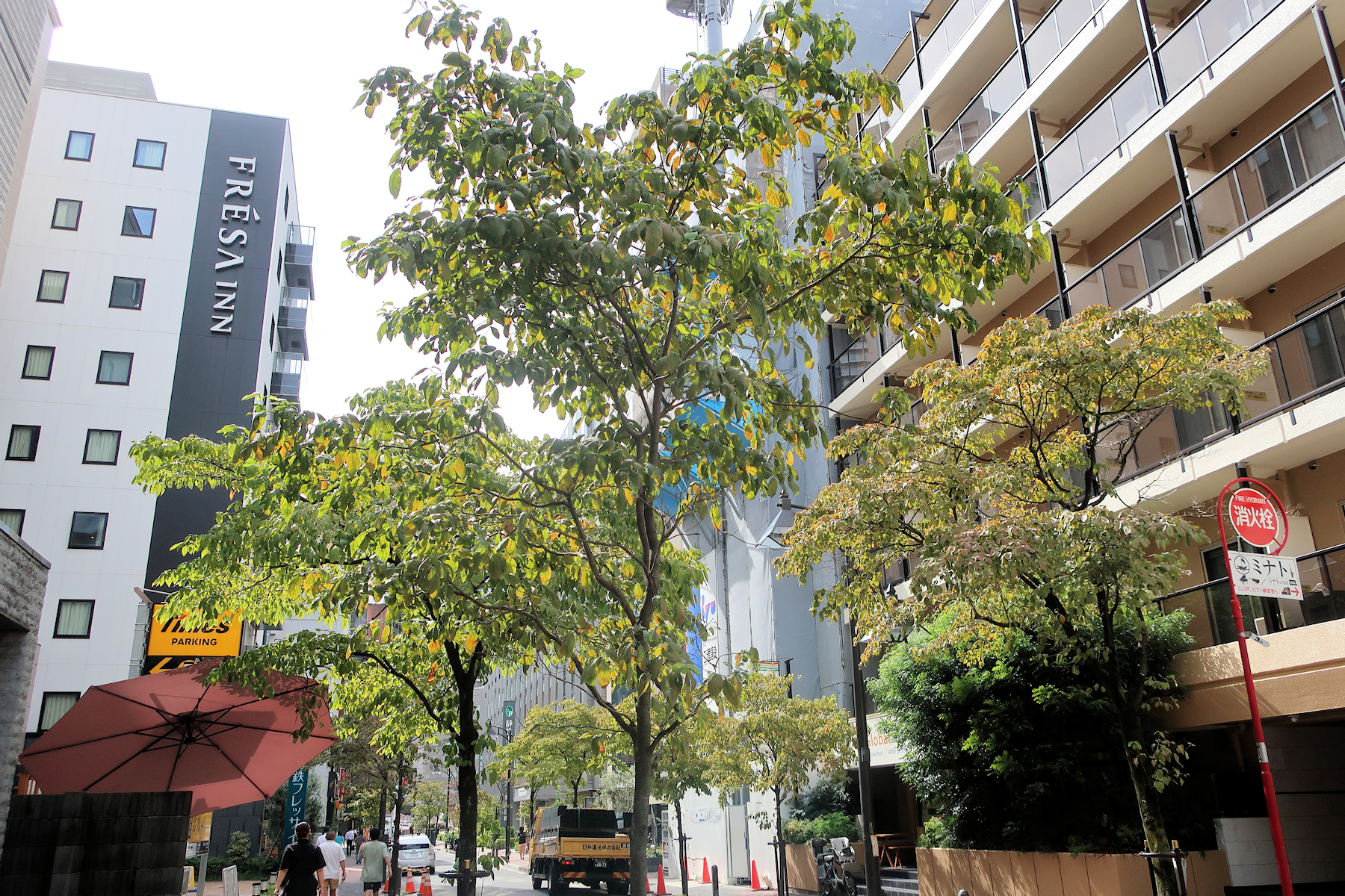 クリックすると拡大します