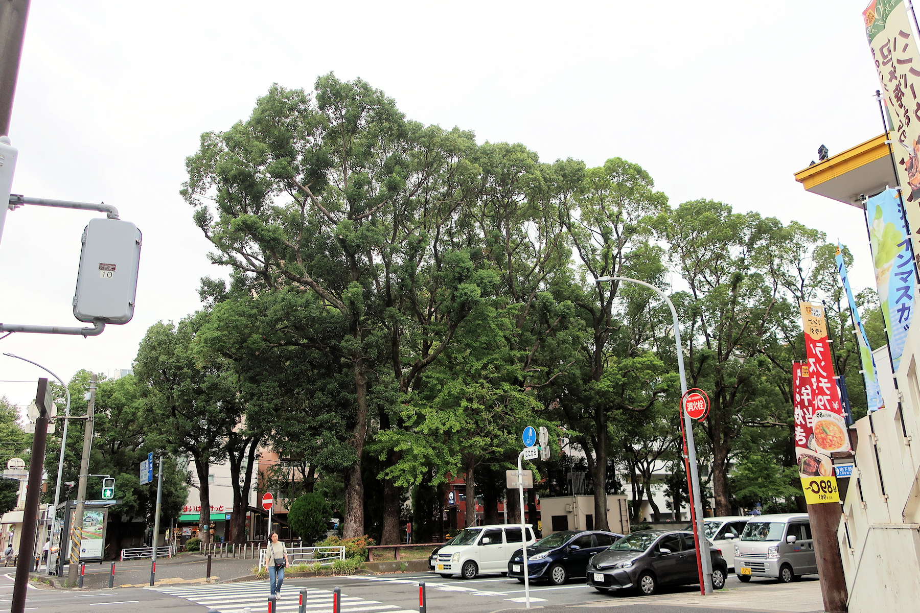 クリックすると拡大します