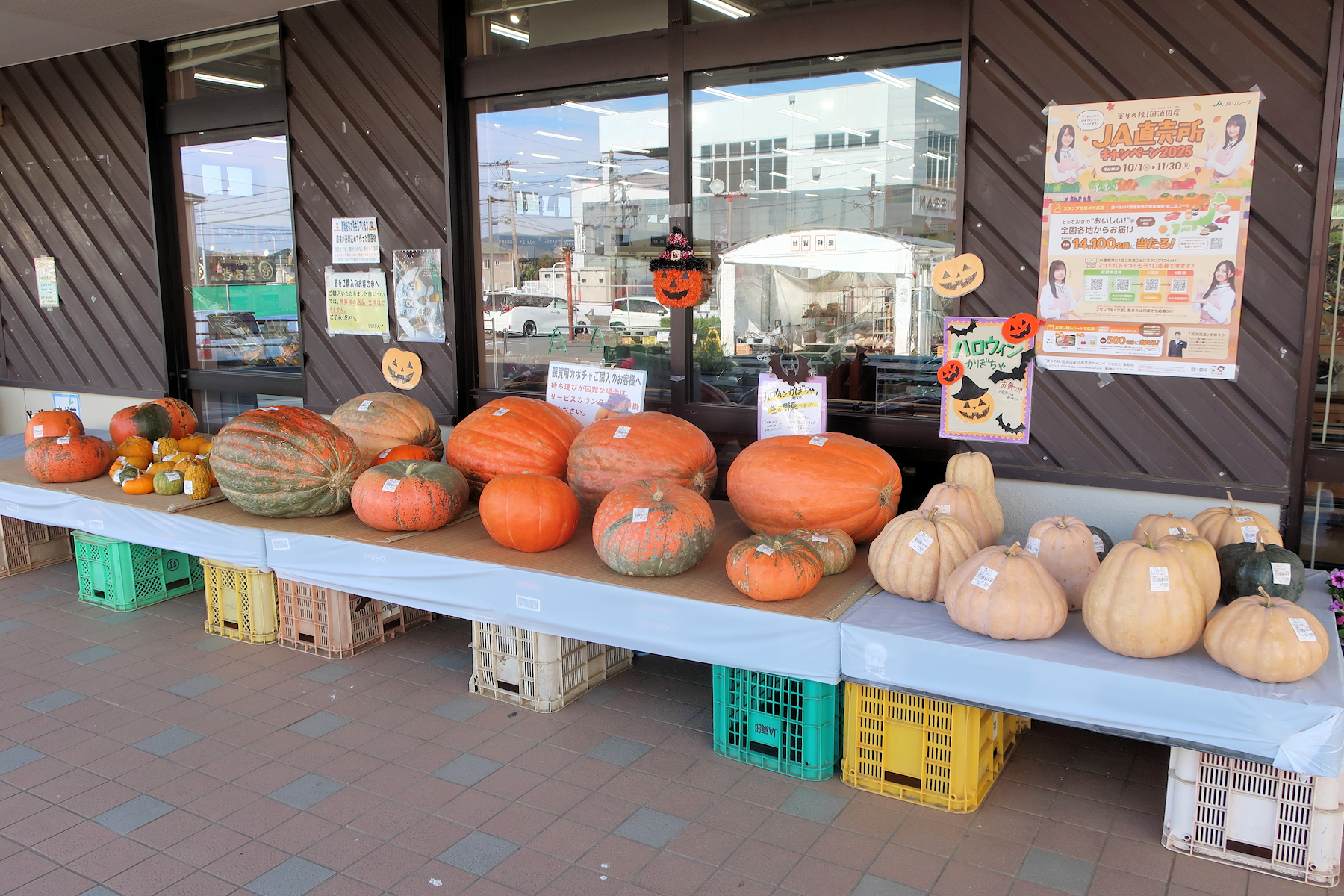 クリックすると拡大します