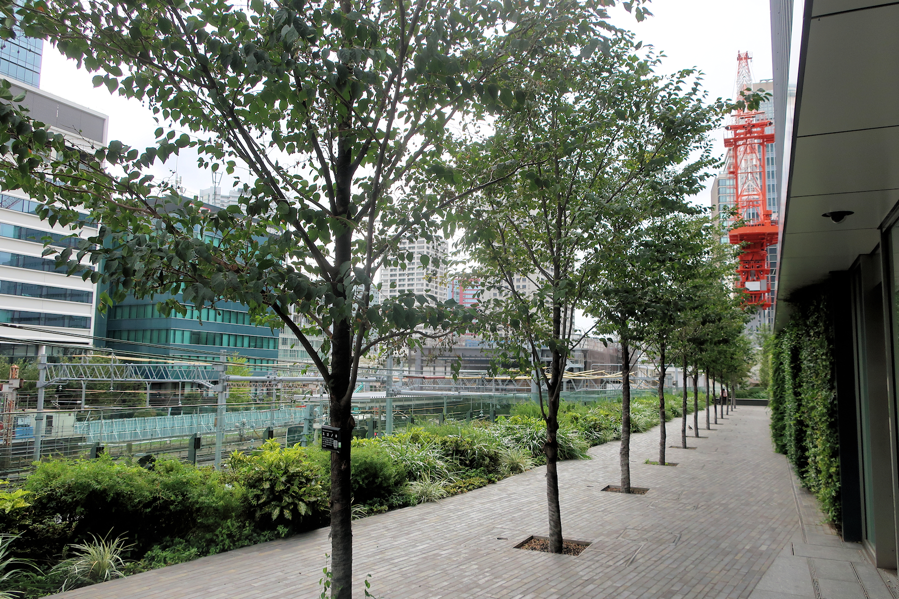 クリックすると拡大します