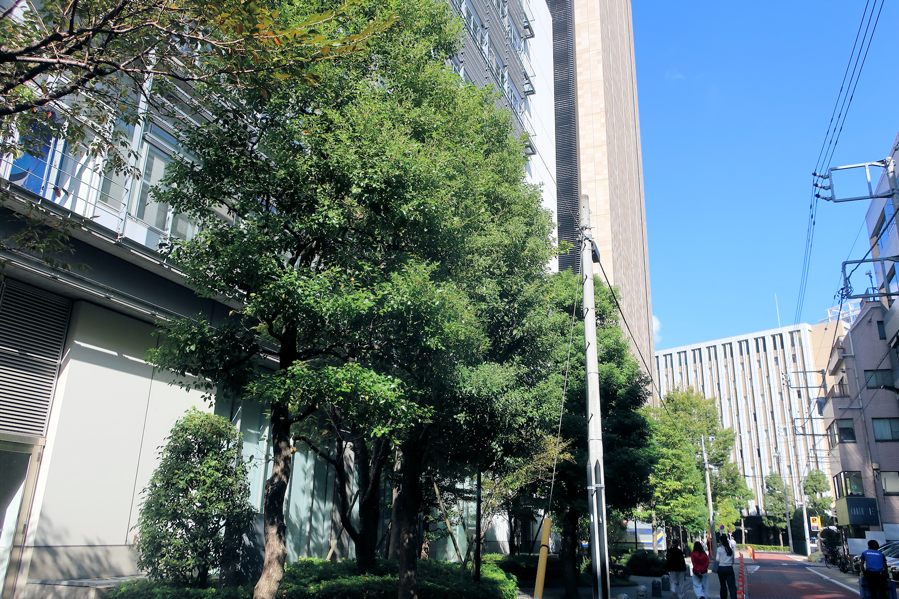 クリックすると拡大します