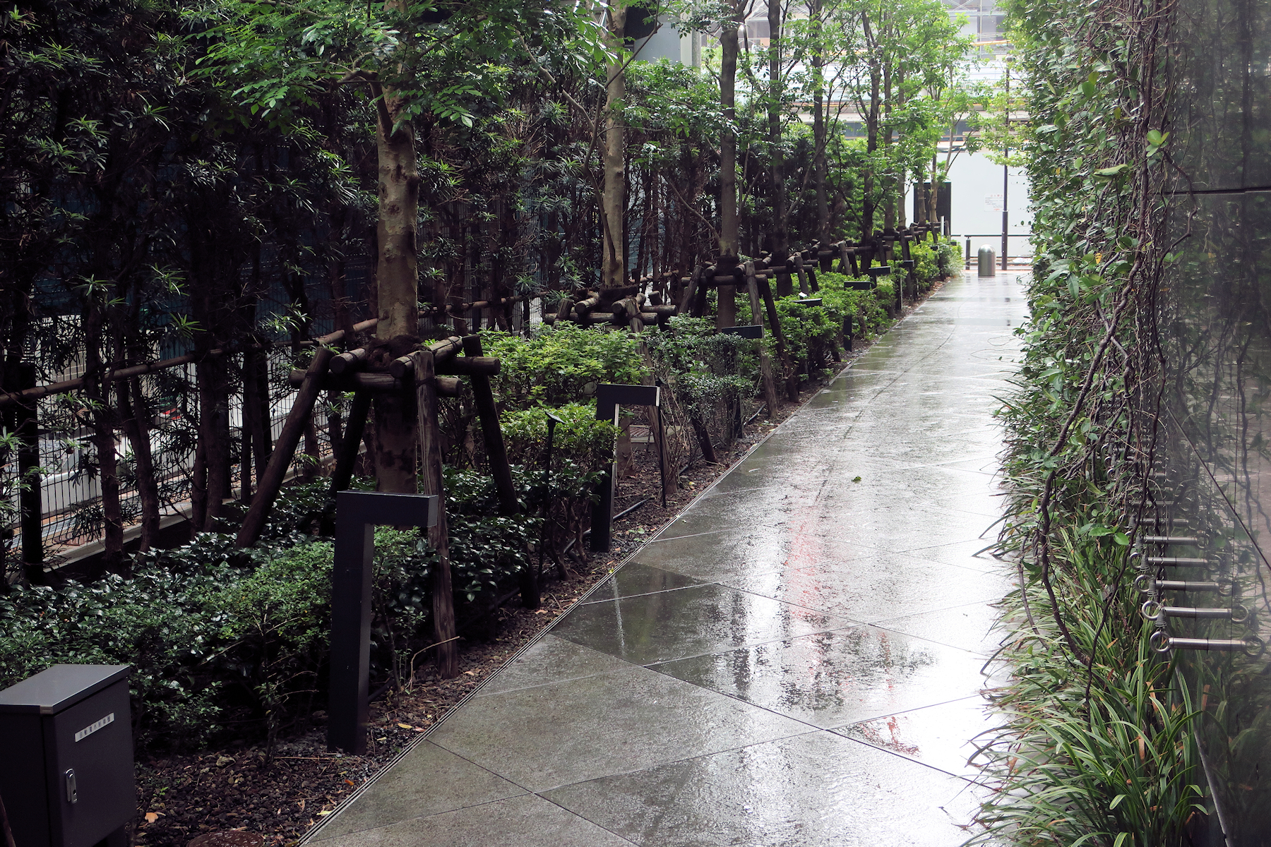 クリックすると拡大します