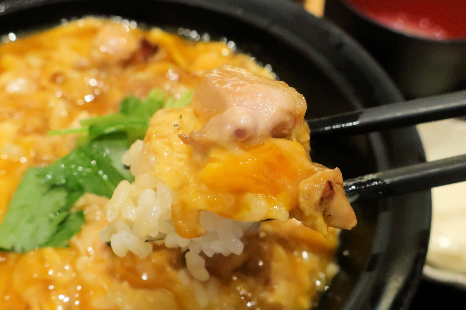 クリックすると拡大します