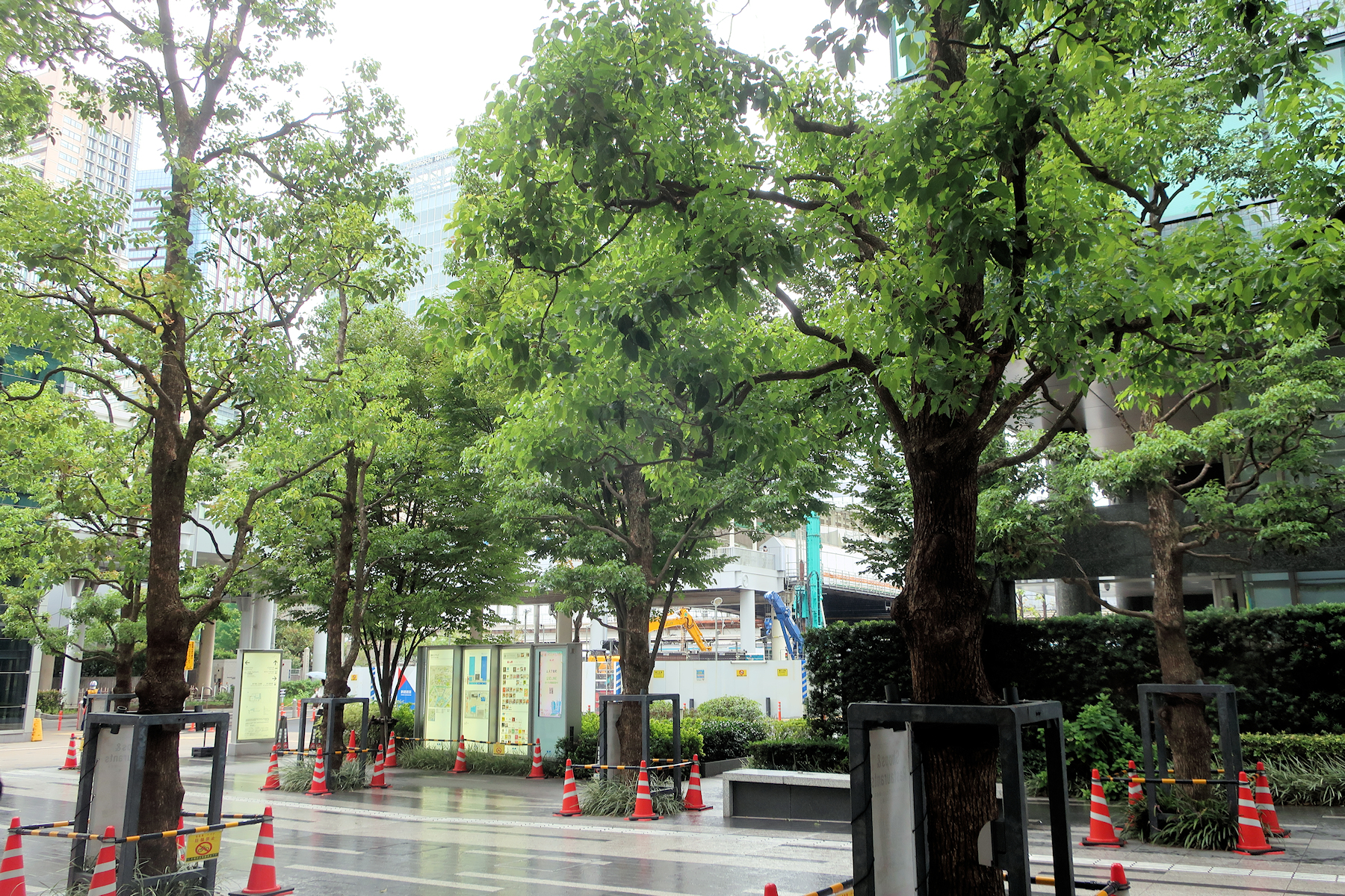 クリックすると拡大します