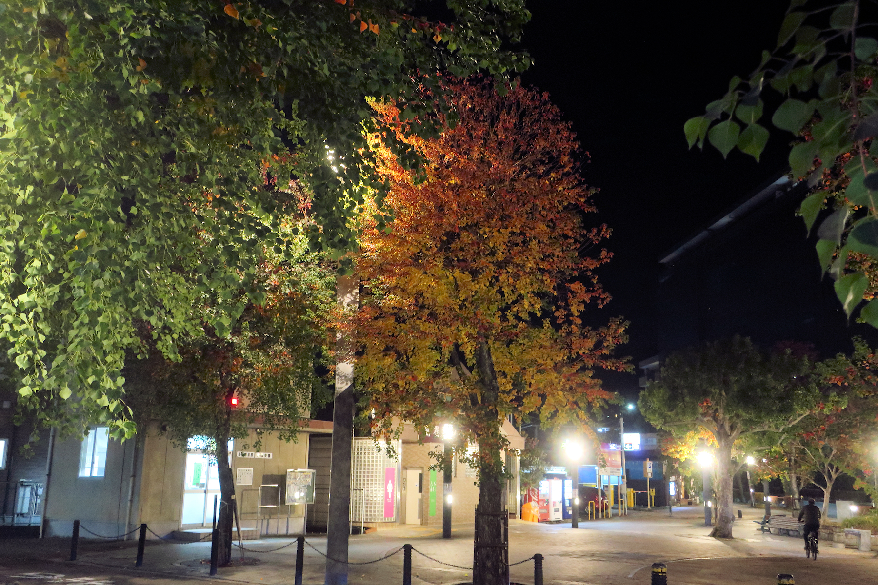 クリックすると拡大します