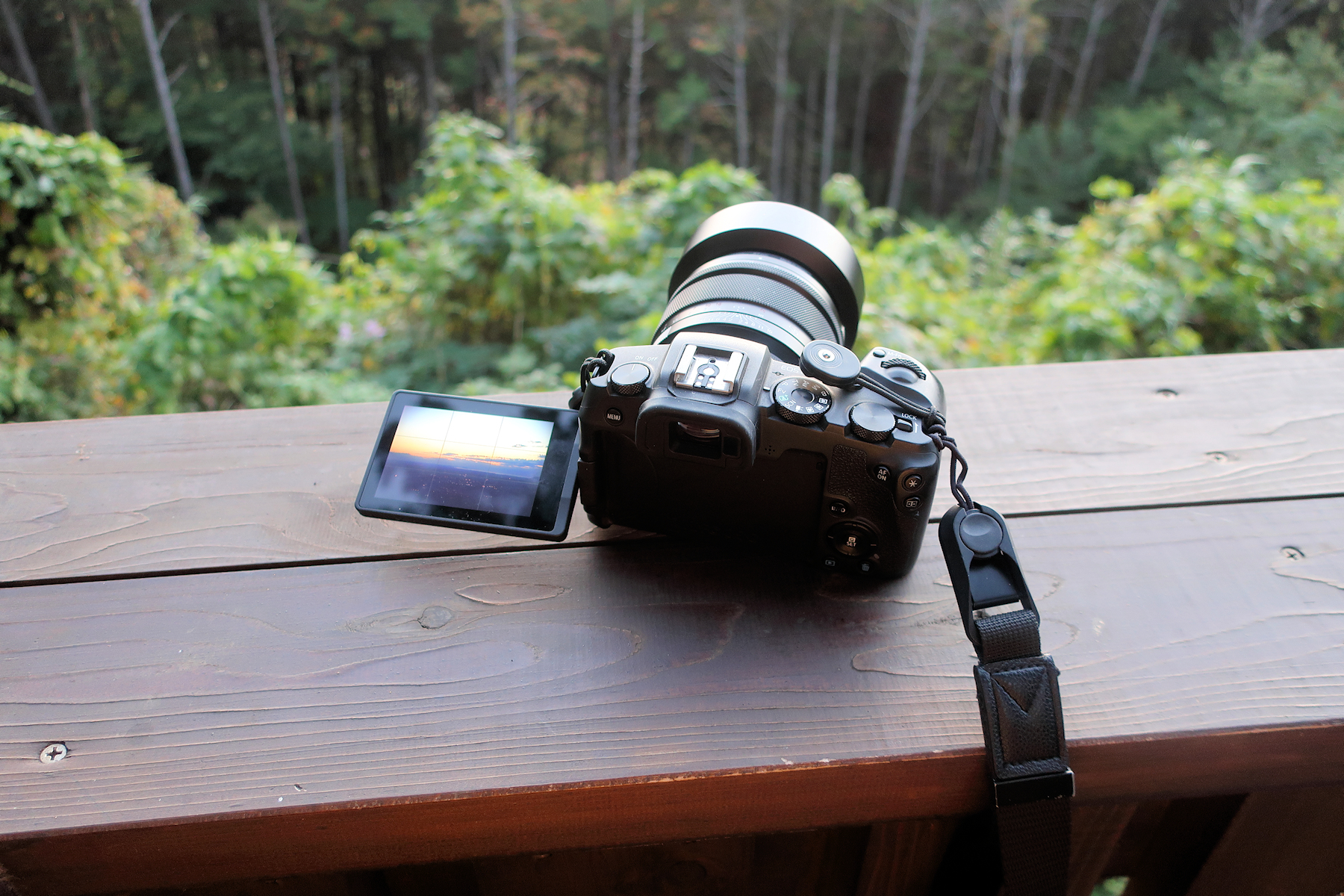 クリックすると拡大します