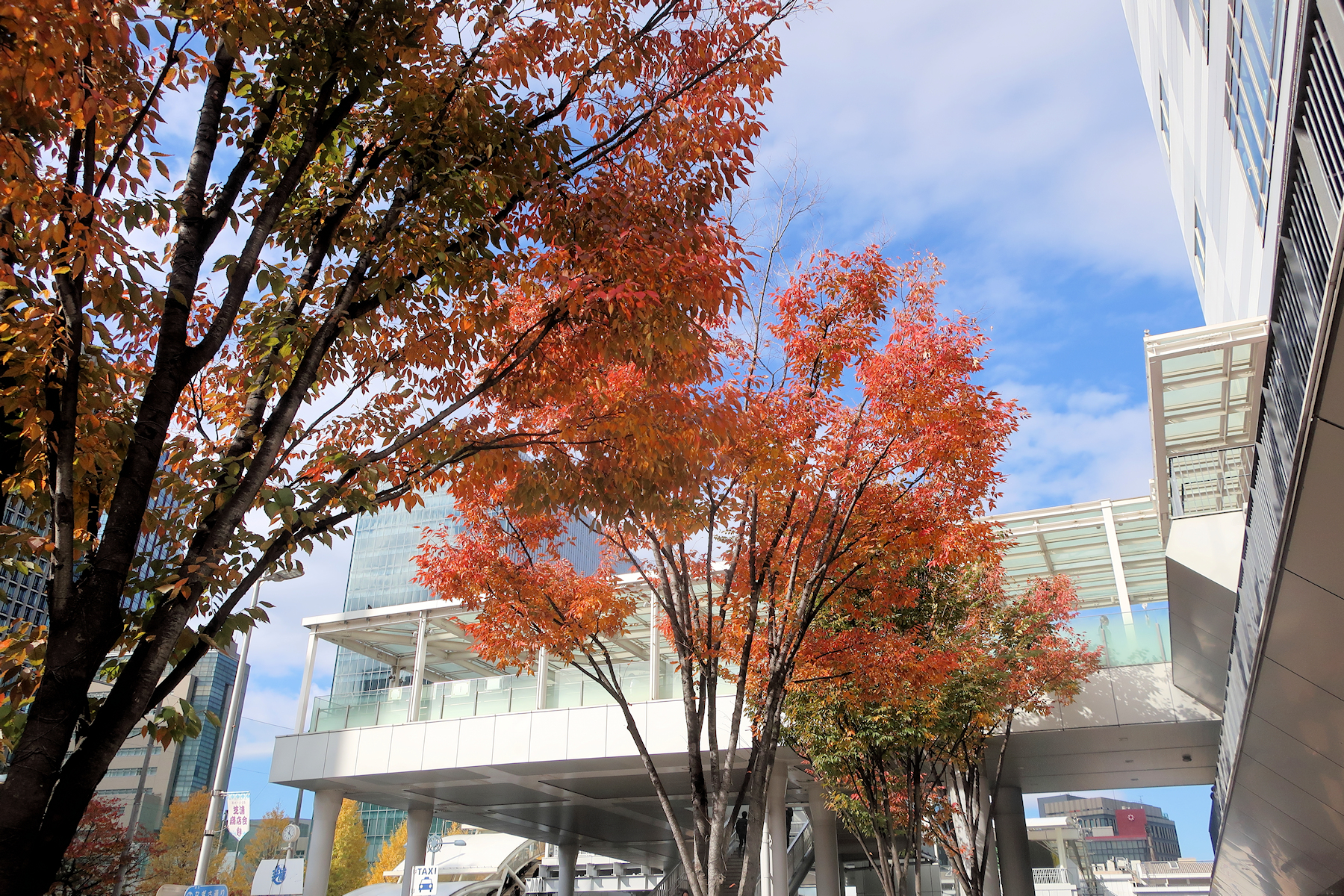 クリックすると拡大します