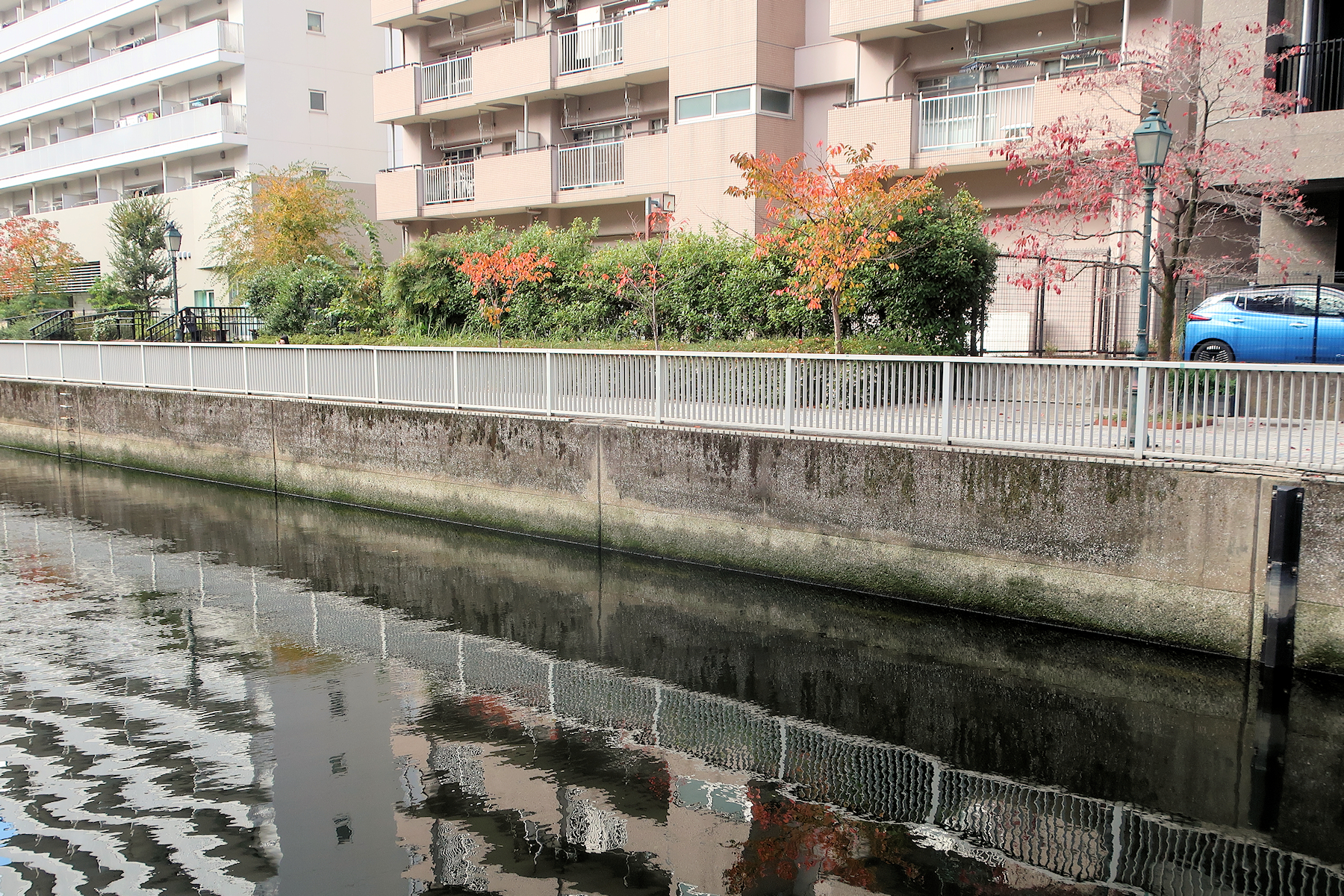 クリックすると拡大します