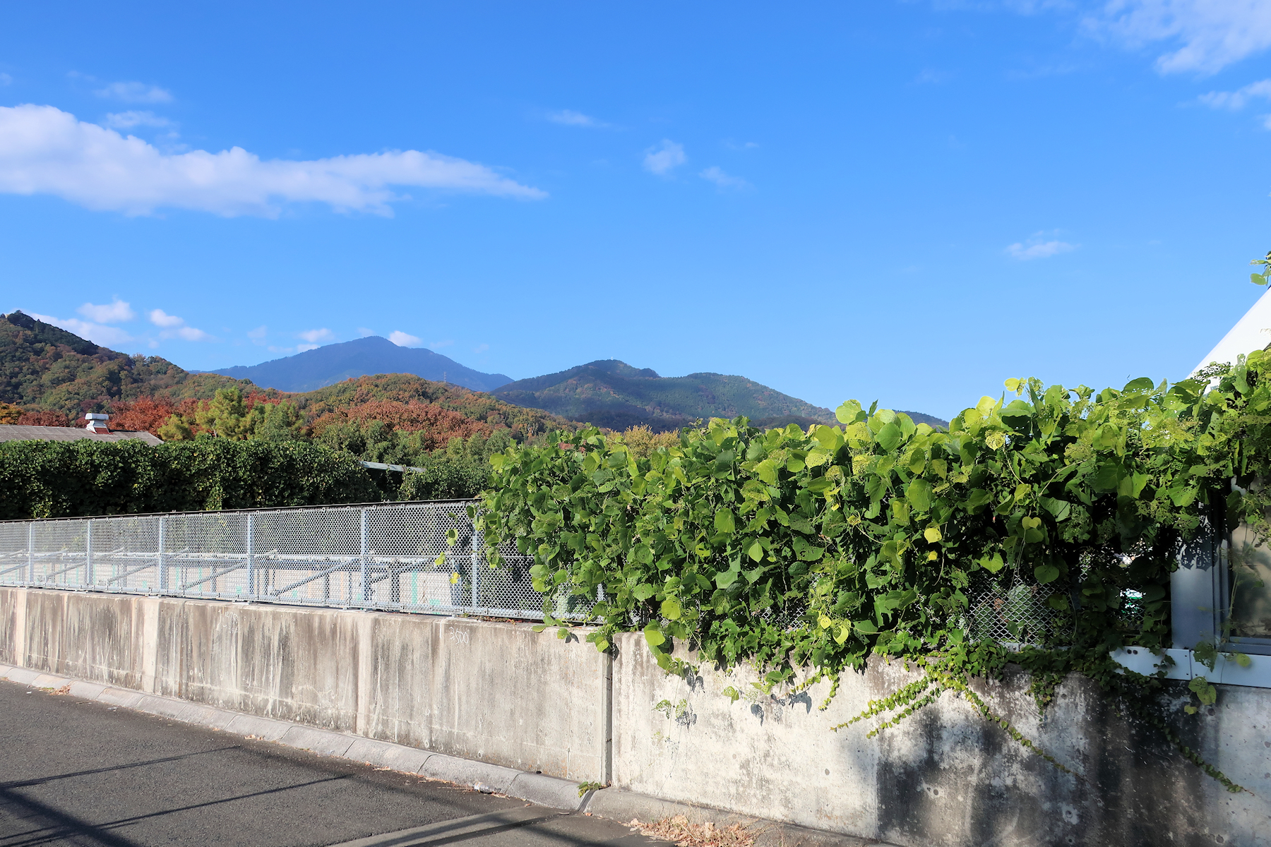 クリックすると拡大します