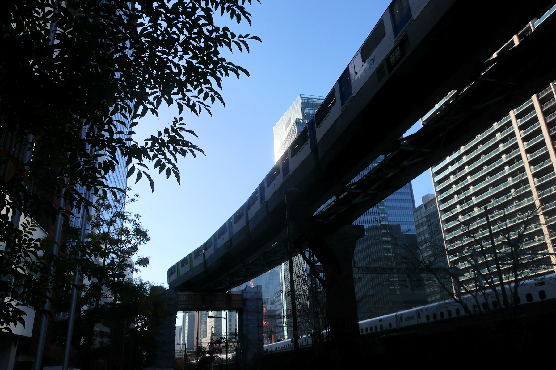 クリックすると拡大します