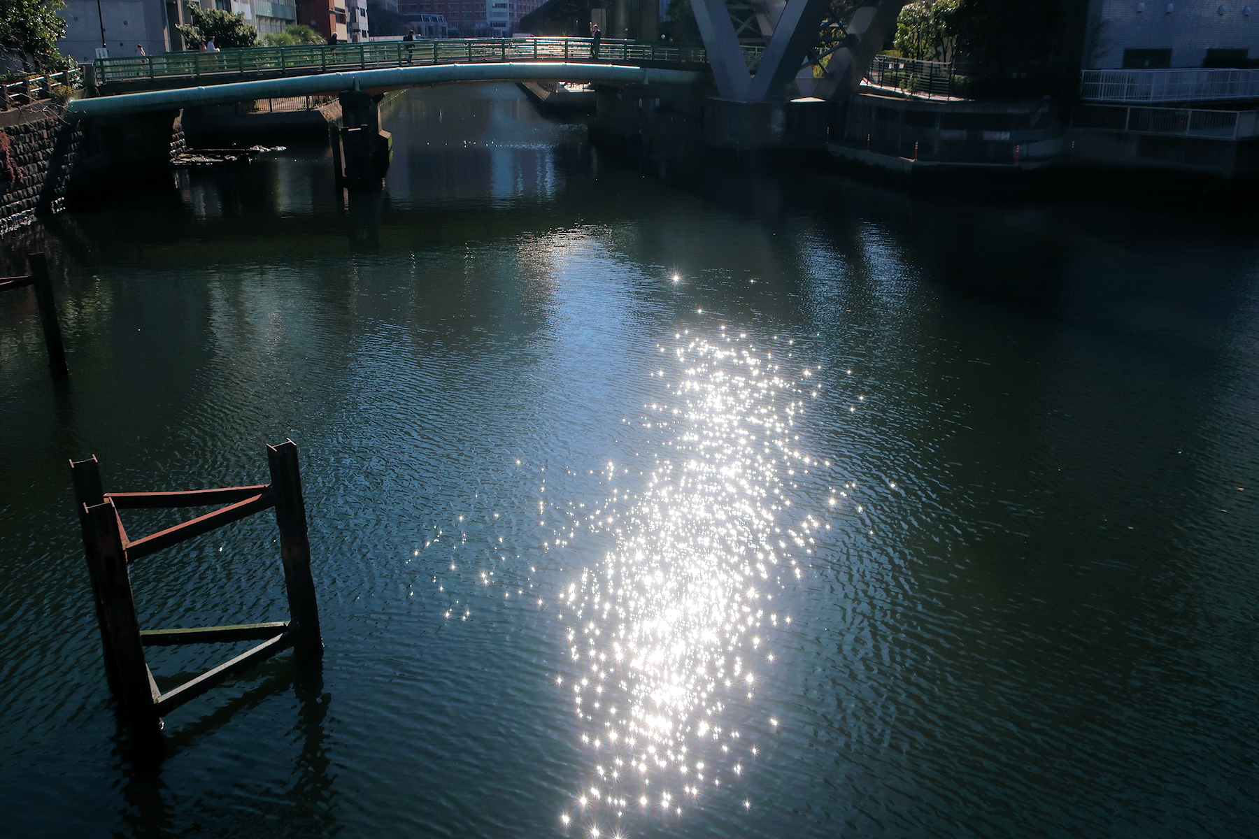 クリックすると拡大します